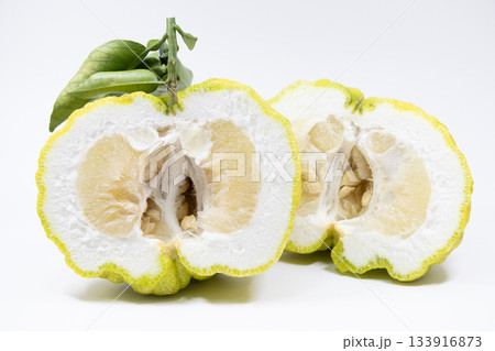 獅子柚子 133916873