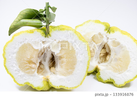 獅子柚子 133916876