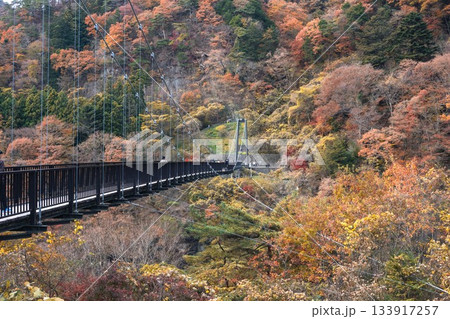 栃木県 紅葉真っ盛りの龍王峡 133917257