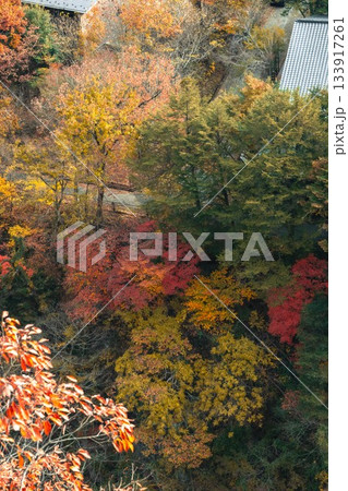 栃木県 紅葉真っ盛りの龍王峡 133917261