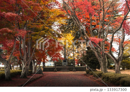 栃木県 大山参道の紅葉のトンネル 栃木県 大山参道の紅葉のトンネル 133917300