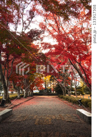 栃木県 大山参道の紅葉のトンネル 栃木県 大山参道の紅葉のトンネル 133917308