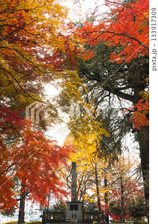 栃木県 大山参道の紅葉のトンネル 栃木県 大山参道の紅葉のトンネル 133917309