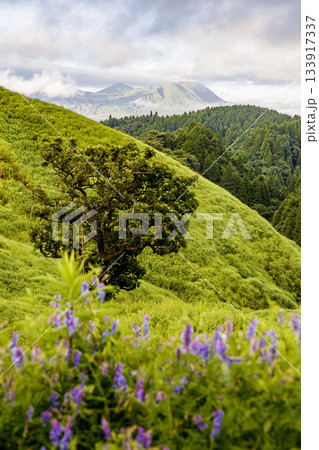阿蘇の朝の風景 133917337