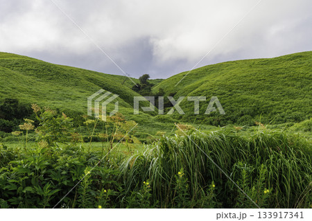 阿蘇の朝の風景 133917341