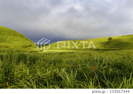 阿蘇の朝の風景 133917344
