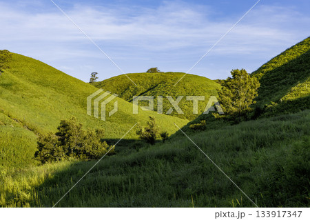 阿蘇の朝の風景 133917347