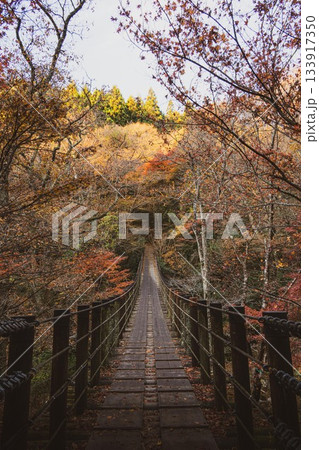 茨城県高萩市　紅葉の花貫渓谷 133917350