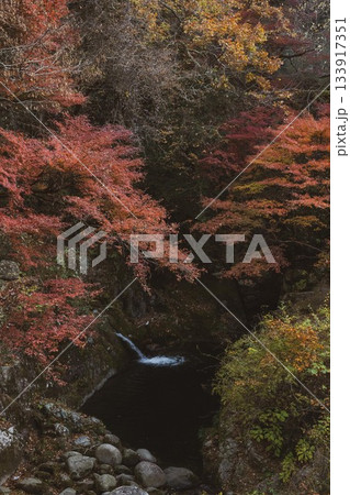茨城県高萩市　紅葉の花貫渓谷 133917351