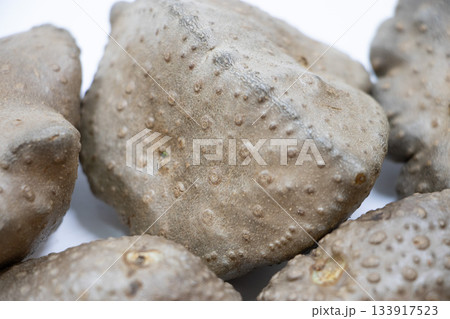 宇宙芋 宇宙芋 133917523