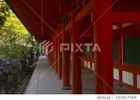 奈良県にある世界遺産・春日大社の回廊 133917568