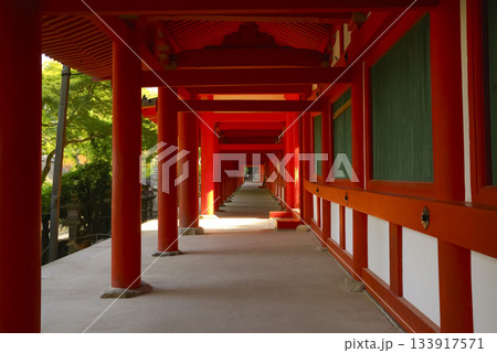 奈良県にある世界遺産・春日大社の回廊 133917571