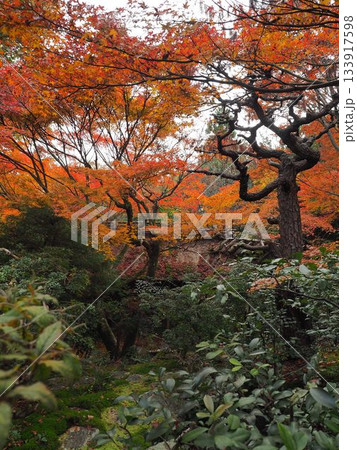 京都_厭離庵 133917598