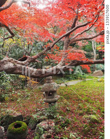 京都_厭離庵 133917600