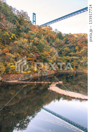 茨城県常陸太田市　紅葉の竜神大吊り橋 133917714