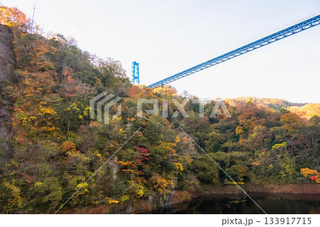 茨城県常陸太田市　紅葉の竜神大吊り橋 133917715