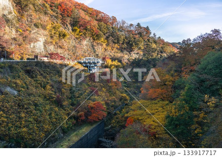茨城県常陸太田市　紅葉の竜神大吊り橋 133917717