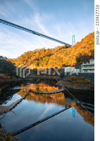 茨城県常陸太田市　紅葉の竜神大吊り橋 133917718