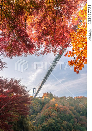 茨城県常陸太田市 紅葉の竜神大吊り橋 茨城県常陸太田市 紅葉の竜神大吊り橋 133917721
