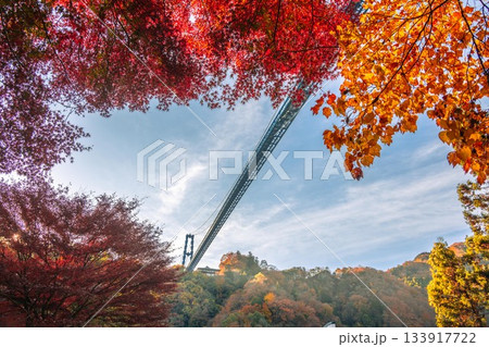 茨城県常陸太田市 紅葉の竜神大吊り橋 茨城県常陸太田市 紅葉の竜神大吊り橋 133917722