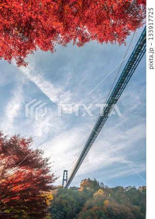 茨城県常陸太田市　紅葉の竜神大吊り橋 133917725