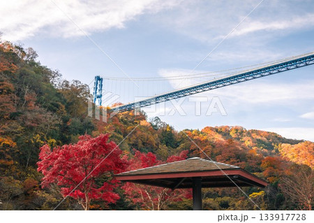 茨城県常陸太田市　紅葉の竜神大吊り橋 133917728