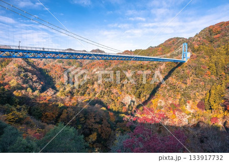 茨城県常陸太田市 紅葉の竜神大吊り橋 茨城県常陸太田市 紅葉の竜神大吊り橋 133917732