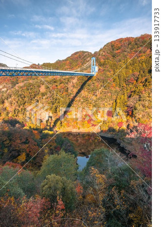 茨城県常陸太田市 紅葉の竜神大吊り橋 茨城県常陸太田市 紅葉の竜神大吊り橋 133917733