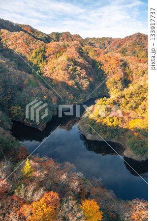 茨城県常陸太田市　紅葉の竜神大吊り橋 133917737