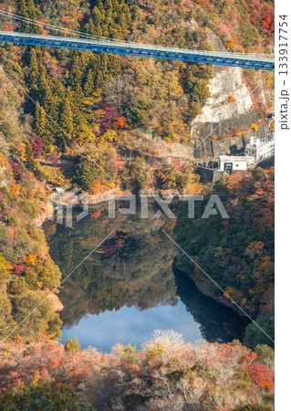 茨城県常陸太田市　紅葉の竜神大吊り橋 133917754
