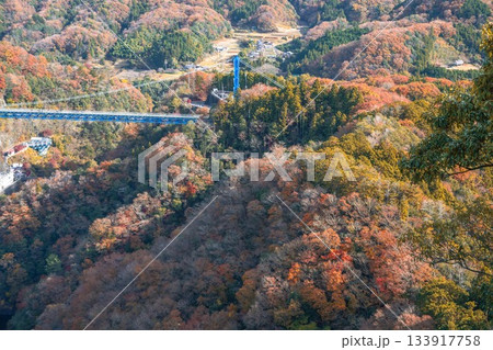 茨城県常陸太田市　紅葉の竜神大吊り橋 133917758