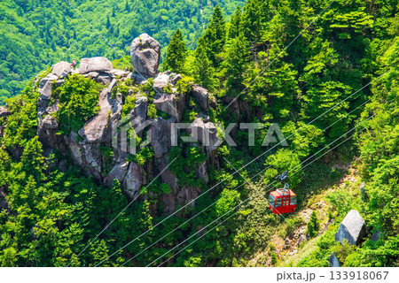 御在所ロープウエイ 富士見岩展望台の前を行く赤いゴンドラ《三重県 菰野町》 133918067