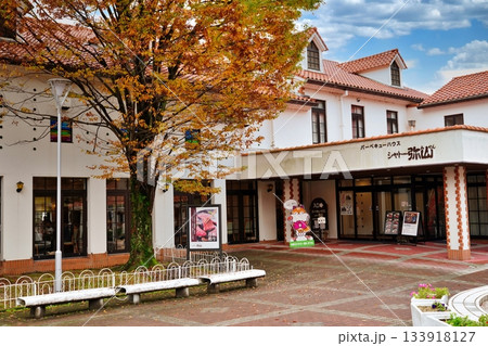 島根ワイナリーの景観 133918127