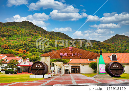 島根ワイナリーの景観 133918129