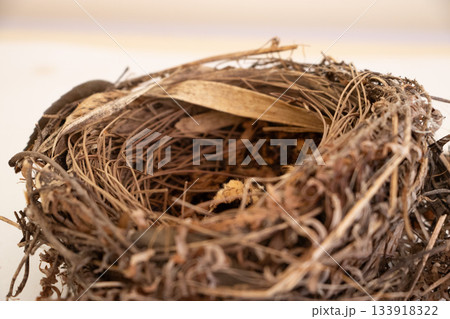 ヒヨドリの巣 133918322