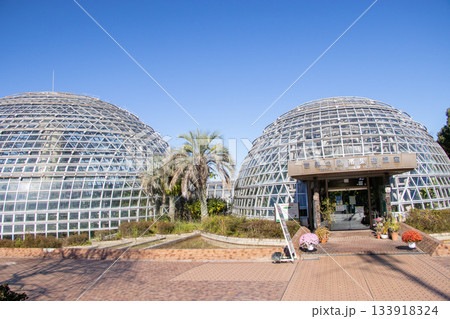 東谷山フルーツパーク 世界の熱帯果樹温室 東谷山フルーツパーク 世界の熱帯果樹温室 133918324