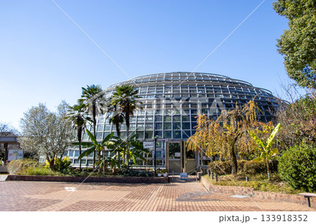 東谷山フルーツパーク 世界の熱帯果樹温室 133918352