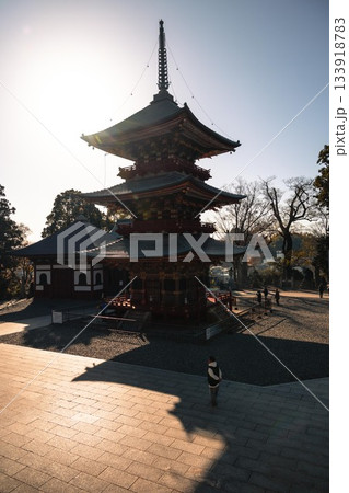 千葉県成田市 紅葉の成田山新勝寺 千葉県成田市 紅葉の成田山新勝寺 133918783