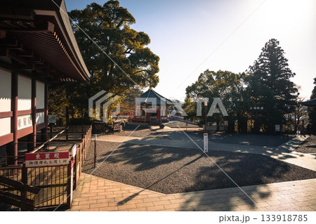 千葉県成田市 紅葉の成田山新勝寺 千葉県成田市 紅葉の成田山新勝寺 133918785