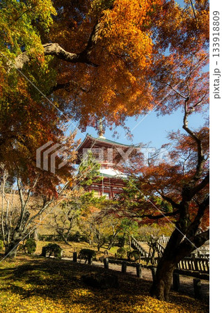 千葉県成田市 紅葉の成田山新勝寺 千葉県成田市 紅葉の成田山新勝寺 133918809