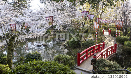 打吹公園の桜景色(倉吉市) 打吹公園の桜景色(倉吉市) 133918991