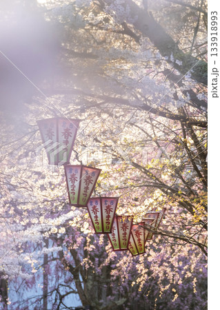 打吹公園の桜景色(倉吉市) 打吹公園の桜景色(倉吉市) 133918993