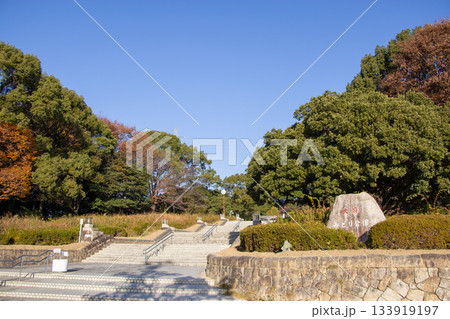 大府みどり公園 133919197