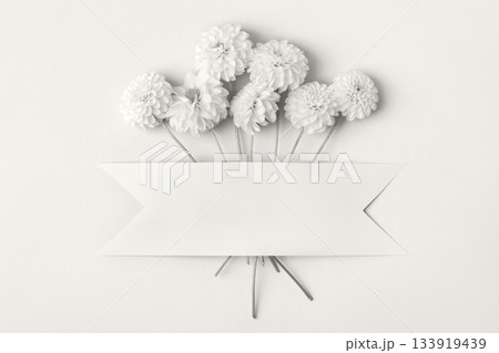 Demonstrating the colors of 2026 - Cloud Dancer. White dahlia flowers on gray background with space for text. Copy space, mockup for special offers as advertising. Flat lay. 133919439