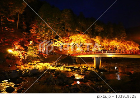 香嵐渓の待月橋周辺のライトアップの風景 133919528
