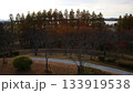 夕日に照らされる公園 133919538