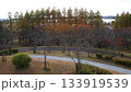 秋の紅葉が始まった公園 133919539
