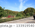 爽やかな秋の青空と公園 133919540