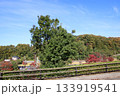 青空 133919541