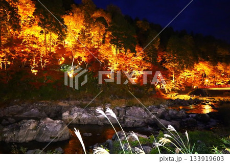 香嵐渓の夜景とススキの秋の風景 香嵐渓の夜景とススキの秋の風景 133919603